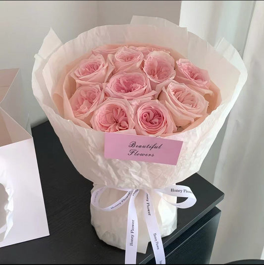 023  Soft and tender rose